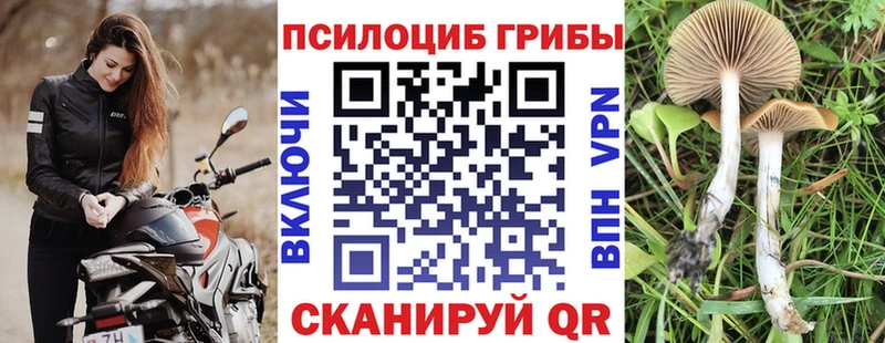 Псилоцибиновые грибы Psilocybine cubensis  нарко площадка состав  Хадыженск  купить наркотик 